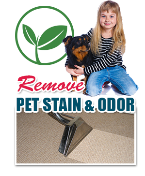 cleaning service
